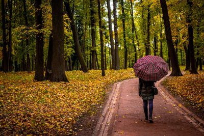 A lone walking along a path with an umbrella